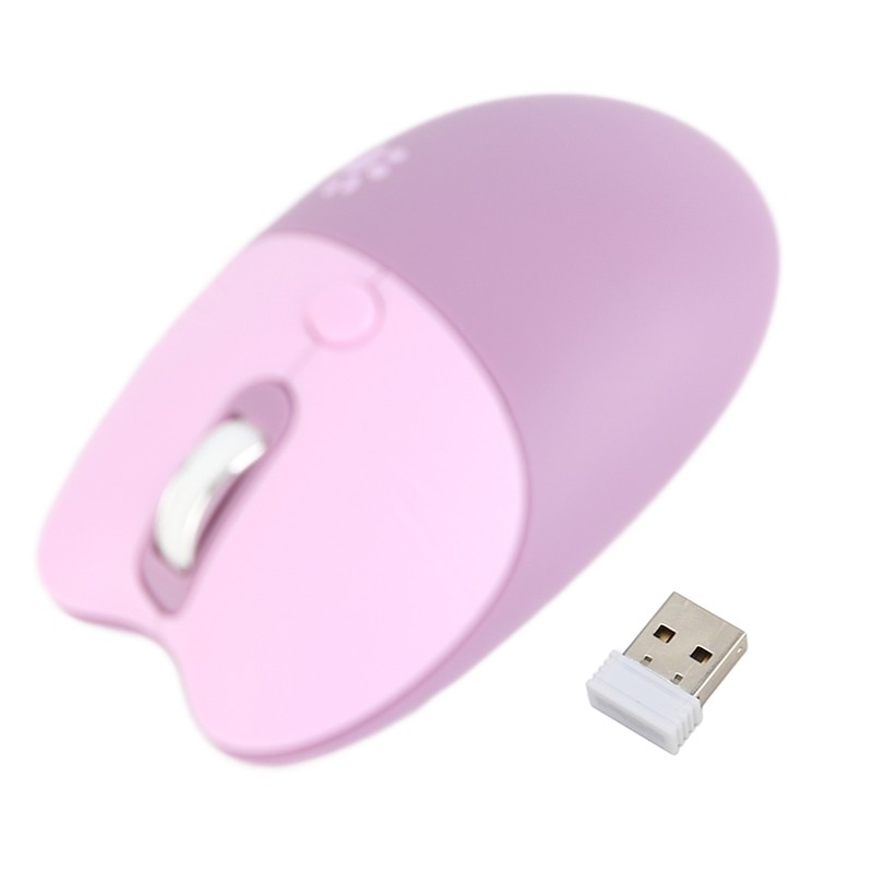 Wireless Mouse BT5.1 Or 2.4GHz Silent Click Adjustable DPI Auto