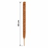 Moss Pole for Climbing Indoor Plants – Plant Fiber Support