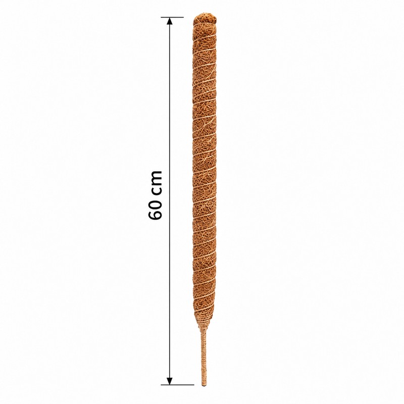 Moss Pole for Climbing Indoor Plants – Plant Fiber Support