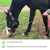 Horses Guide Chain | Safe Guide with Iron Chain &