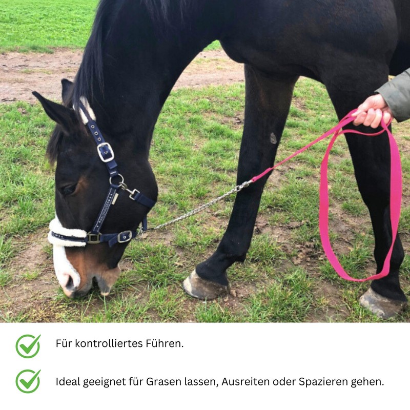 Horses Guide Chain | Safe Guide with Iron Chain &