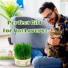 Environet Cat Grass Kit for Indoor Cat, Organic Grass Growing