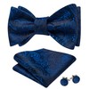 YOHOWA Bow Ties for Men Paisley Self Tie Bowtie Pocket