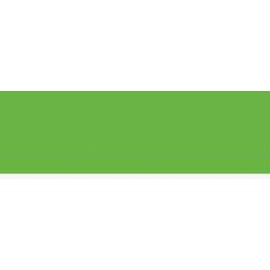 MegaCrea Flex Iron-On Patch UniFlex Nature Apple Green Leaf