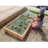 Arqlite Smart Gravel 1 Gallon Eco Friendly for Drainage, Hydroponics,