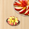 Stainless Steel Apple Cutter – Heavy-Duty Apple Slicer & Corer