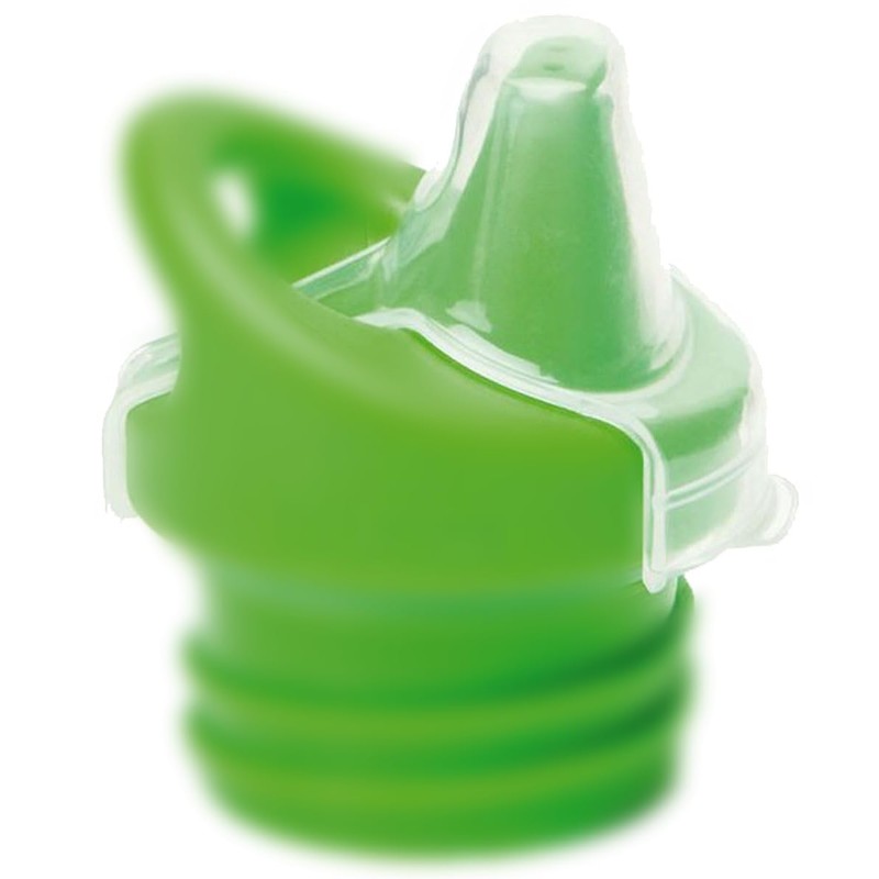 KleanKanteen Unisex - Adult Bottle_1002402, Transparent/Clear, One Size