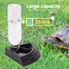 Nobleza - Turtle Water Bowl, Feeding Bowl, Turtles Reptiles Feeding