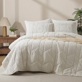 Oli Anderson Velvet Quilt Set Queen Size - Lightweight Bedspread Coverlet - Soft Velvet Comforter Set - Reversible Quilted Bedding Set for All Seasons - Cream White - 3 PCS (1 Quilt, 2 Pillow Shams)