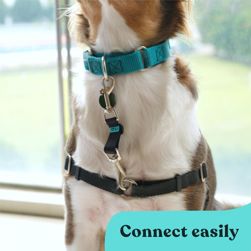 Gentle Creatures Collar Companion - Adjustable Backup Clip for Dog