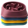 PawComfort Dog Slow Feeder Bowl Non Slip – Non-Slip Interactive