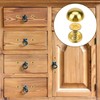 8Pcs Pure Brass Decorative Screws with Caps Mirror Fixing Screw