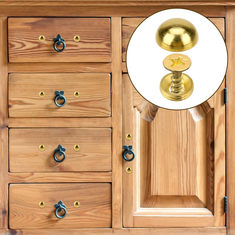 8Pcs Pure Brass Decorative Screws with Caps Mirror Fixing Screw