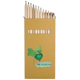 Azeeda 12 x 'Ivy Evergreen' Long 178mm Coloured Pencils/Pencil Set (PE00077201)