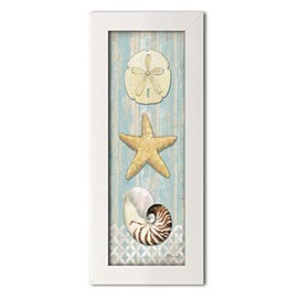 Gango Editions Spa Shells | Sand Dollar, Starfish and Nautilus Panel by Paul Brent; Coastal Décor; One 8x18 White Framed Print