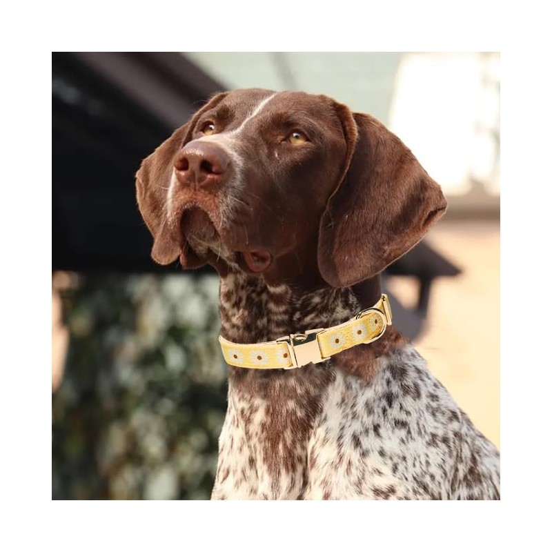 Adjustable Jacquard Webbing in Yellow Daisy Pattern Dog Collar with