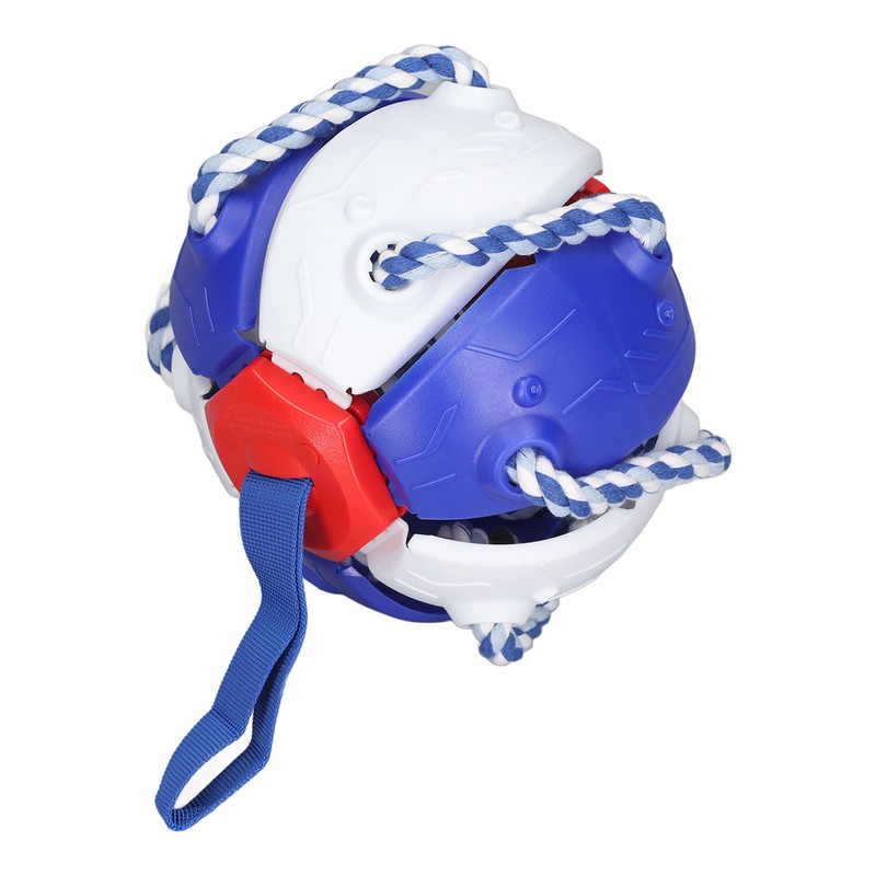 Interactive Outdoor Fly Ball Flying Saucer Ball Interesting Dog Soccer