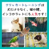 Aselect Clicker Dog Clicker Clicker Dog Clicker Bird Cat Clicker