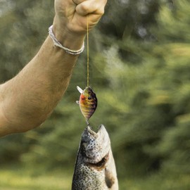 Fishing Bait Kit, Sturdy Saltwater Fishing Lures Bass Lure Kit, Artificial Fishing Bait Fishing Tackle Kit with Storage Box for Anglers