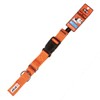 GOGO Pet Products Martingale Gentle Training Collar, Medium/Large, Orange