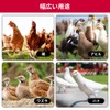 Automatic Chicken Water Feeder Drinking Cup Water Saving Design Feeder