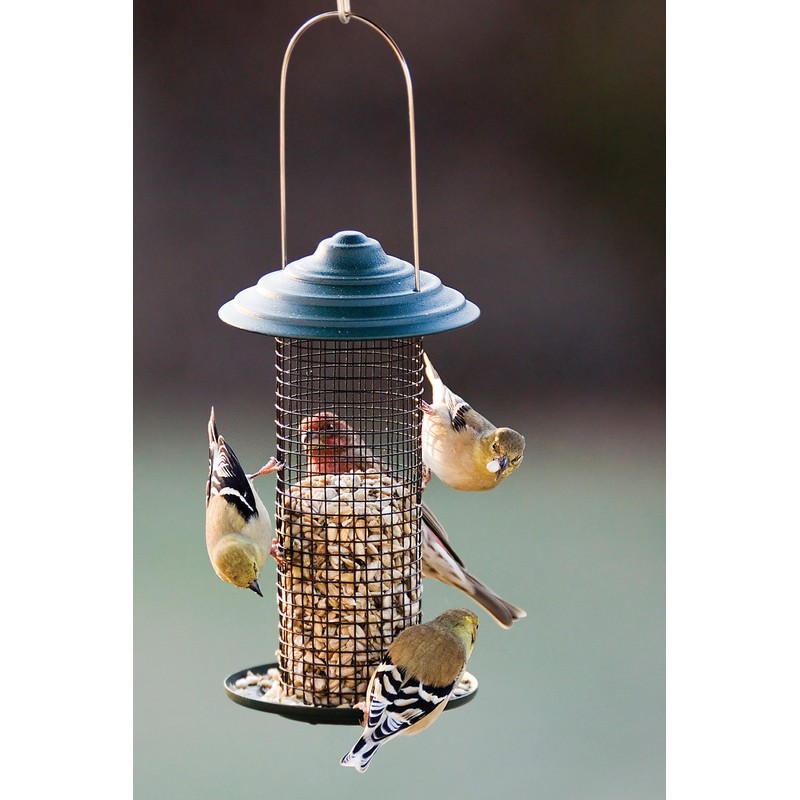 Woodlink MINIMAG1 Mini Magnums Sunflower Screen Feeder