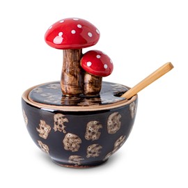 Brown Ceramic Mushroom Salt Cellar With Lid and Bamboo Spoon