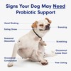 PetLab Co. Probiotics for Dogs, Support Gut Health, Occasional Diarrhea,