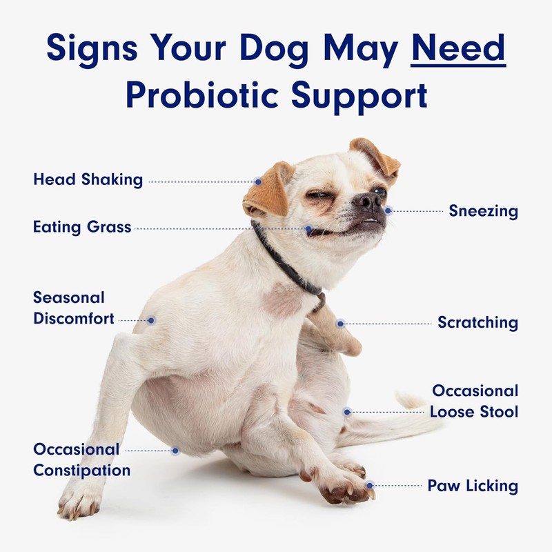 PetLab Co. Probiotics for Dogs, Support Gut Health, Occasional Diarrhea,