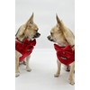 Fluffy Tailers Luxury Red Velvet Dog Harness No Pull Adjustable