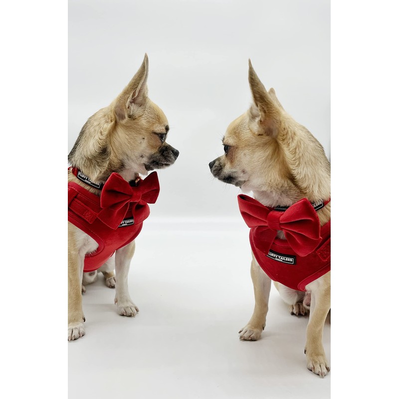 Fluffy Tailers Luxury Red Velvet Dog Harness No Pull Adjustable
