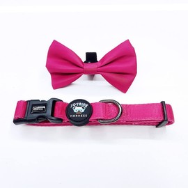 Joyride Harness Dog Collar with Removable Bowtie - Adjustable and Breathable for All Dog Breeds, Strong D-Ring and Heavy Duty Buckle, for Pet Lovers