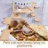 Chinchilla Wood Ledges Hamster Stand Platform Small Animal Climbing Toys