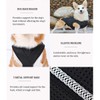IVDD Back Brace for Dogs, Flexible Pet Dachshund Back Supporting