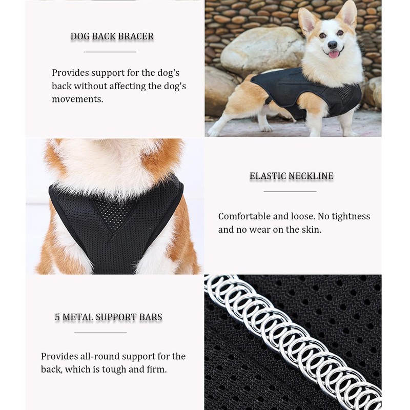 IVDD Back Brace for Dogs, Flexible Pet Dachshund Back Supporting