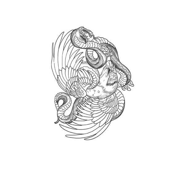 kobench Cool Temporary Tattoos,Fighting Birds Snakes - K195 Design,Waterproof,Easy-to-Apply,Long Lasting