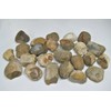 23 Lbs FLINT CHERT Stone for Flint & Steel Fire