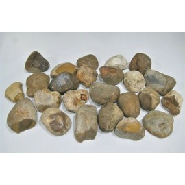 23 Lbs FLINT CHERT Stone for Flint & Steel Fire Starter Arrow Knapping FREE SHIP