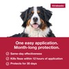 K9 Advantix Flea, Tick & Mosquito Prevention for Dogs Over