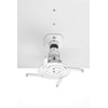 Amer Networks Ceiling Mount for Projector, Electronic Equipment AMRDCP100KIT