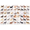(24x36) Laminated Dogs of the World Educational Animal Chart Poster