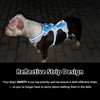 Huntboo Escape Proof Dog Harness, Escape Artist Harness, Reflective Harness