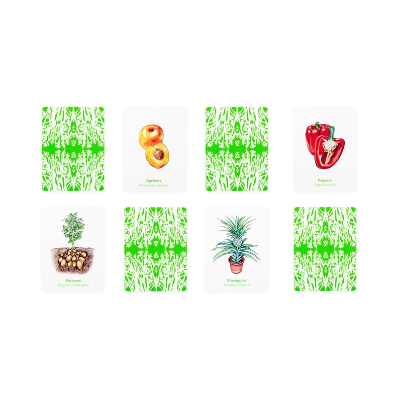 Gardener's Match: A Fruit and Vegetable Memory Game