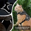 Cat Harness and Leash for Walking, Cat Car Harness, Soft
