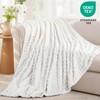 RUIKASI Fleece Throw Blanket for Sofa - White Single Fluffy