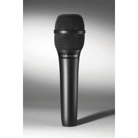 Audio-Technica AT2010 Condenser Microphone, Handheld Video Streaming, Home Recording, Podcast, Live Commentary, DTM Black