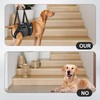 Help Em Up Harness for Dogs - Adjustable Dog Lift