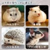 Hamster Spinning Car Stability Quiet Hamster Toy Flying Saucer Spinning