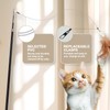 Qiruosing Cat Toys Interactive Cat Toy Wand ; A Retractable