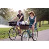 Travelin K9 Pet-Pilot MAX Wicker Bike Basket for Dogs/Cats -